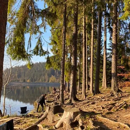 Pod Raliskou Dağ evi