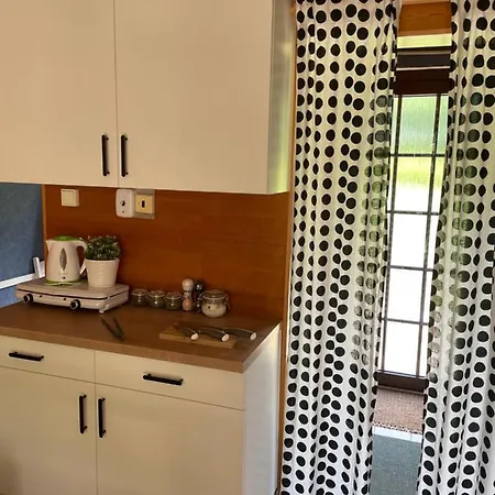 Pod Raliskou Dağ evi *