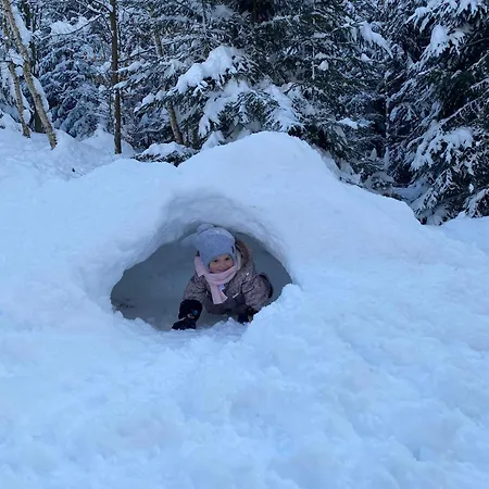 샬레 Pod Raliskou *